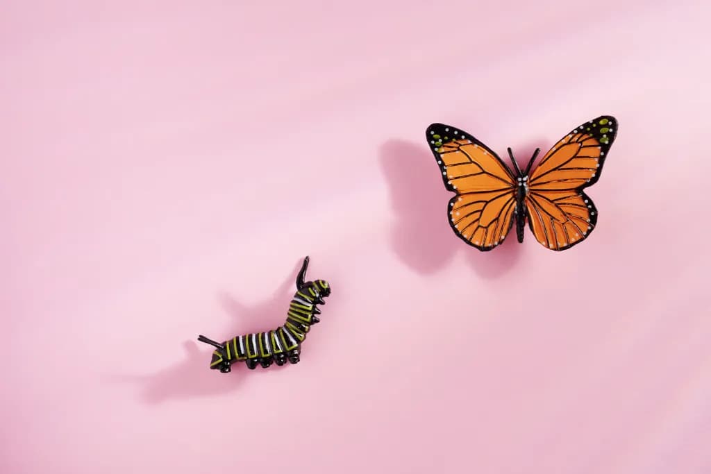 Toy caterpillar looking at the butterfly against pink background